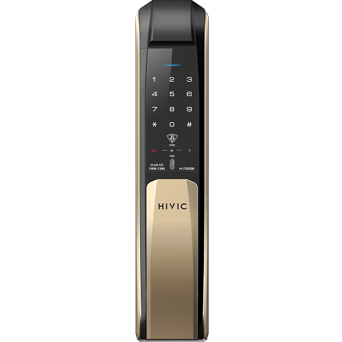 Hione+ Push Pull Digital Doorlocks Fingerprint, PIN, Card
